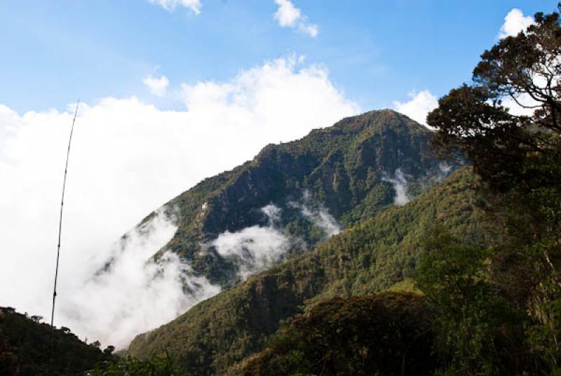 Parque Nacional Natural Los Nevados, Quindio, Arme...