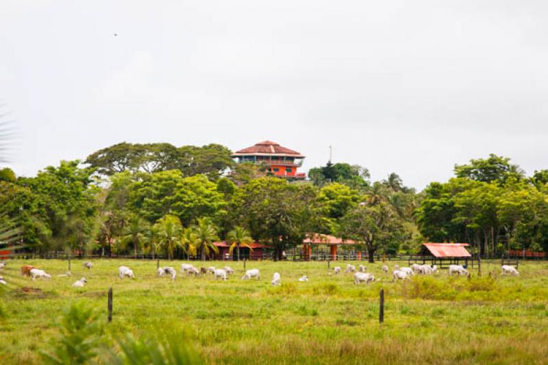 Vivienda en Necocli, Antioquia, Colombia