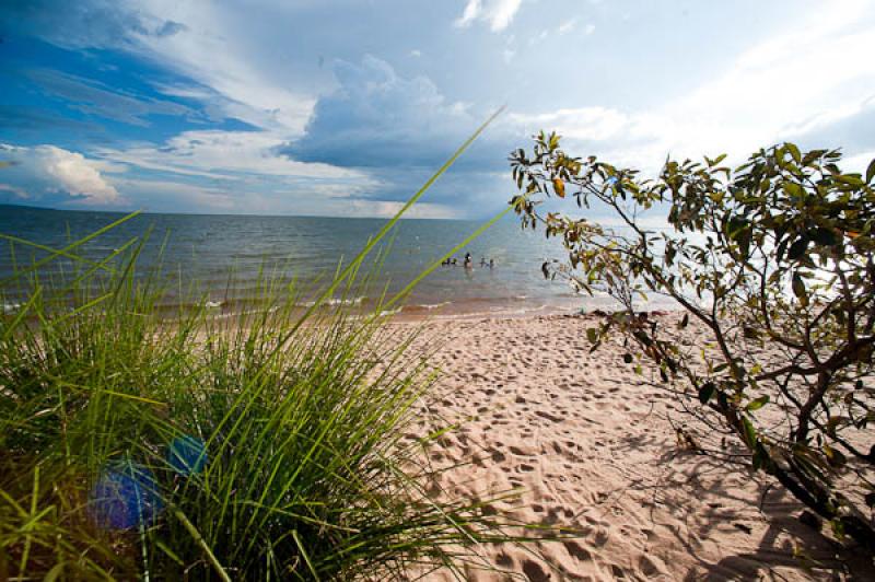 Rio Amazonas, Belterra, Brasil, Brasilia, Sur Amer...