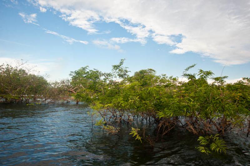 Rio Amazonas, Belterra, Brasil, Brasilia, Sur Amer...