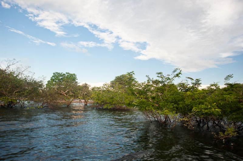 Rio Amazonas, Belterra, Brasil, Brasilia, Sur Amer...