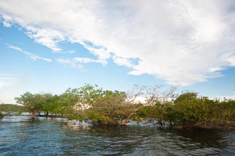 Rio Amazonas, Belterra, Brasil, Brasilia, Sur Amer...