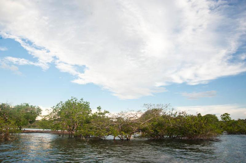 Rio Amazonas, Belterra, Brasil, Brasilia, Sur Amer...