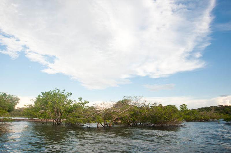 Rio Amazonas, Belterra, Brasil, Brasilia, Sur Amer...