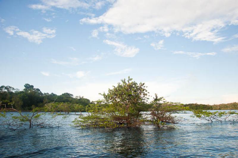 Rio Amazonas, Belterra, Brasil, Brasilia, Sur Amer...