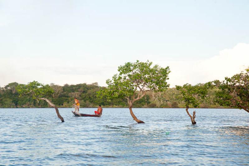 Pescadores en el Rio Amazonas, Belterra, Brasil, B...