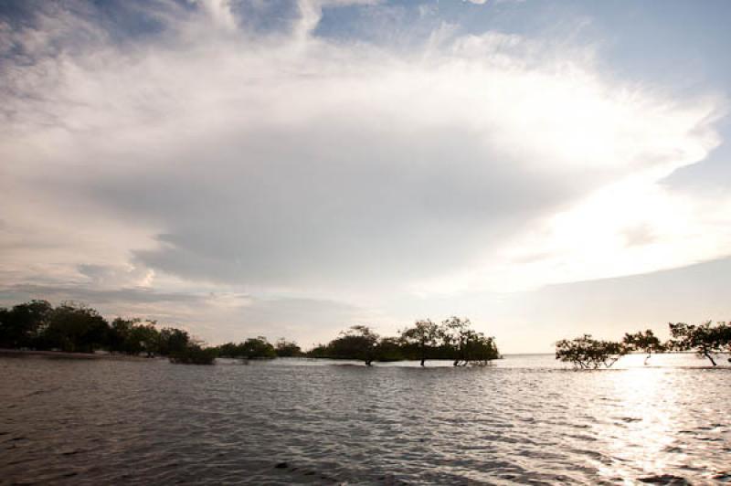 Rio Amazonas, Belterra, Brasil, Brasilia, Sur Amer...