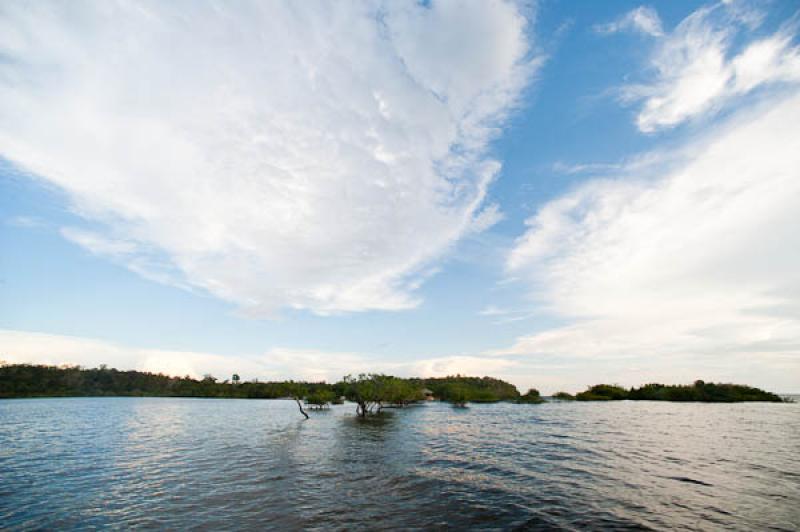 Rio Amazonas, Belterra, Brasil, Brasilia, Sur Amer...