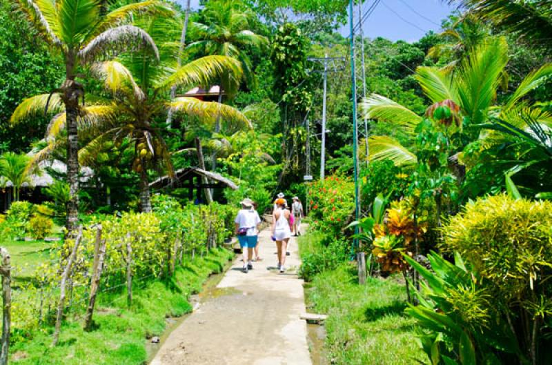 Turistas Caminando, Serrania del Darien, Sapzurro,...