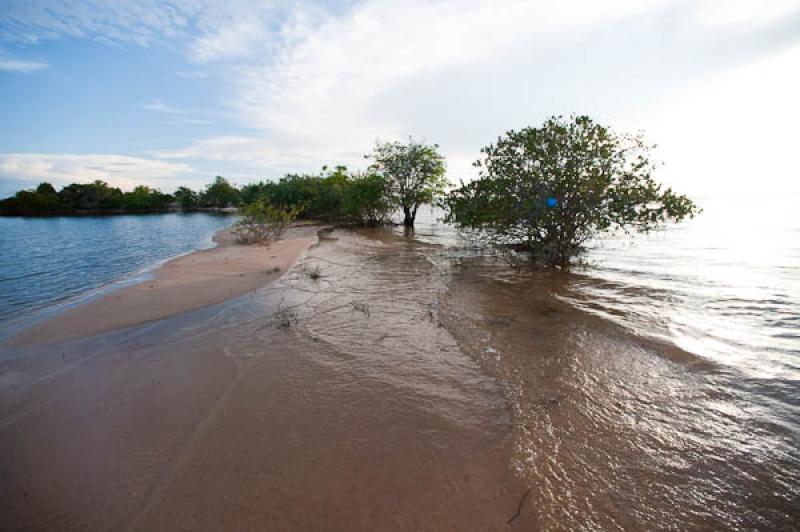 Rio Amazonas, Belterra, Brasil, Brasilia, Sur Amer...