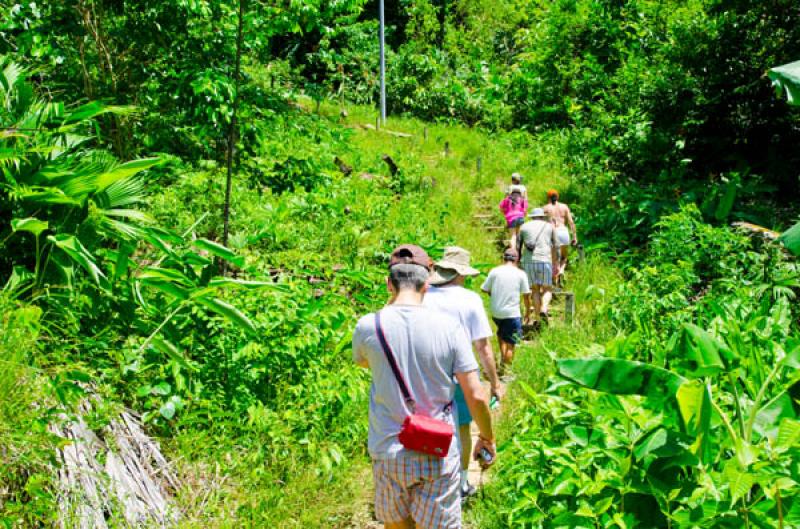 Turistas Caminando, Serrania del Darien, Sapzurro,...