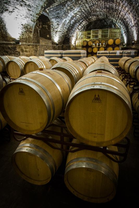 Bodega de Vino, Tarragona, Barcelona, Cataluña, E...