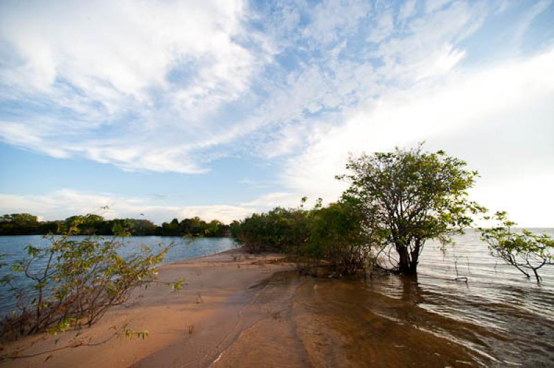 Rio Amazonas, Belterra, Brasil, Brasilia, Sur Amer...