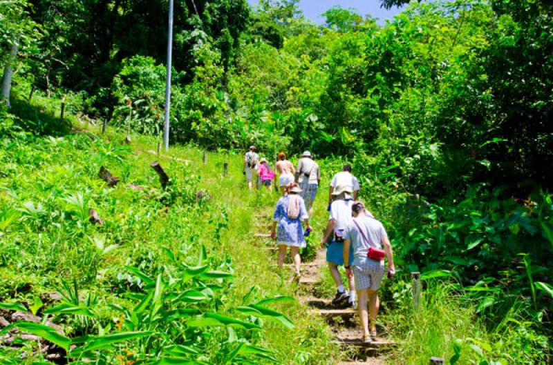 Turistas Caminando, Serrania del Darien, Sapzurro,...