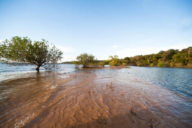 Rio Amazonas, Belterra, Brasil, Brasilia, Sur Amer...