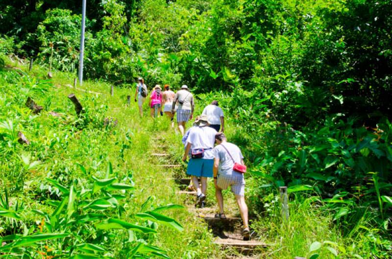 Turistas Caminando, Serrania del Darien, Sapzurro,...