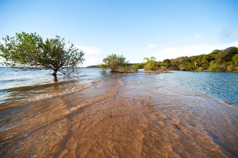 Rio Amazonas, Belterra, Brasil, Brasilia, Sur Amer...