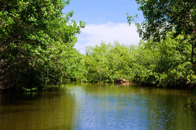 Bahia de Cispata, San Antero, Cordoba, Colombia