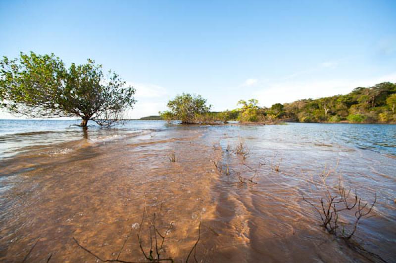 Rio Amazonas, Belterra, Brasil, Brasilia, Sur Amer...