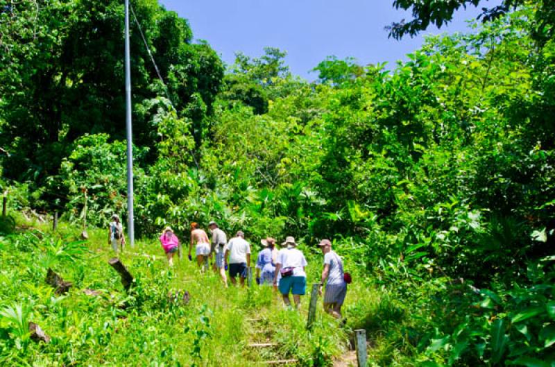 Turistas Caminando, Serrania del Darien, Sapzurro,...