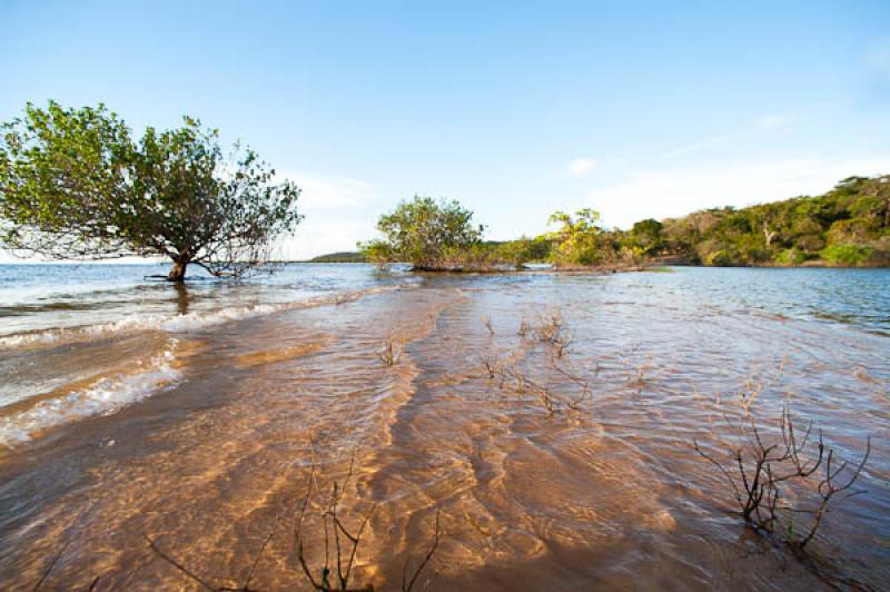 Rio Amazonas, Belterra, Brasil, Brasilia, Sur Amer...