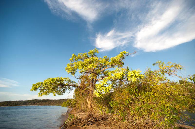 Rio Amazonas, Belterra, Brasil, Brasilia, Sur Amer...