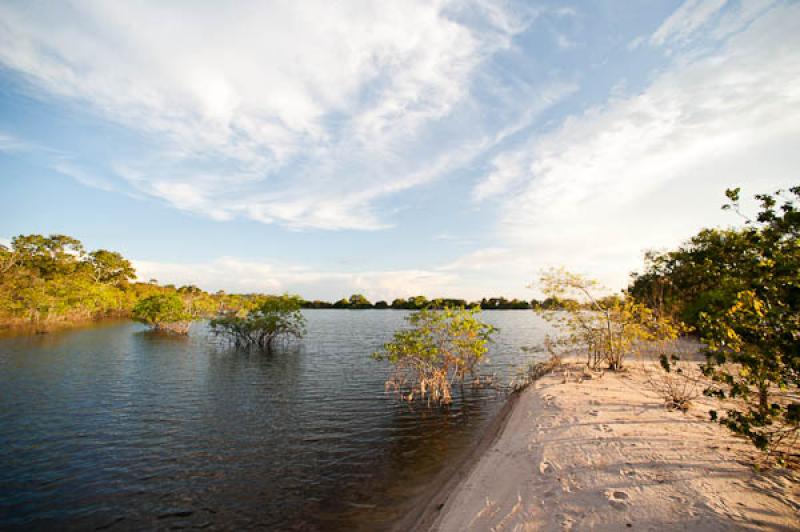 Rio Amazonas, Belterra, Brasil, Brasilia, Sur Amer...