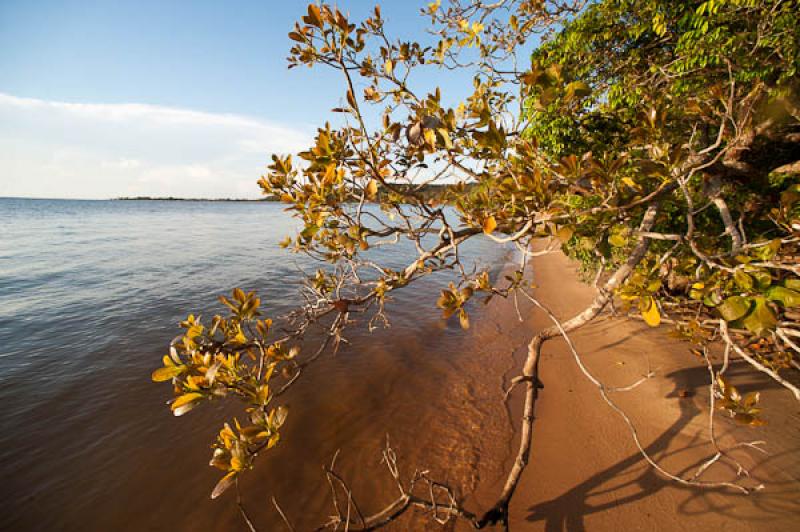 Rio Amazonas, Belterra, Brasil, Brasilia, Sur Amer...