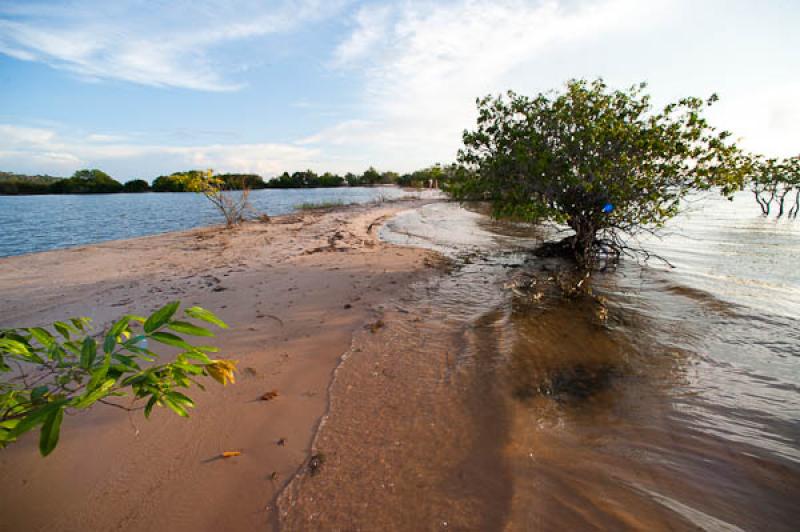 Rio Amazonas, Belterra, Brasil, Brasilia, Sur Amer...