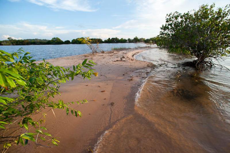 Rio Amazonas, Belterra, Brasil, Brasilia, Sur Amer...