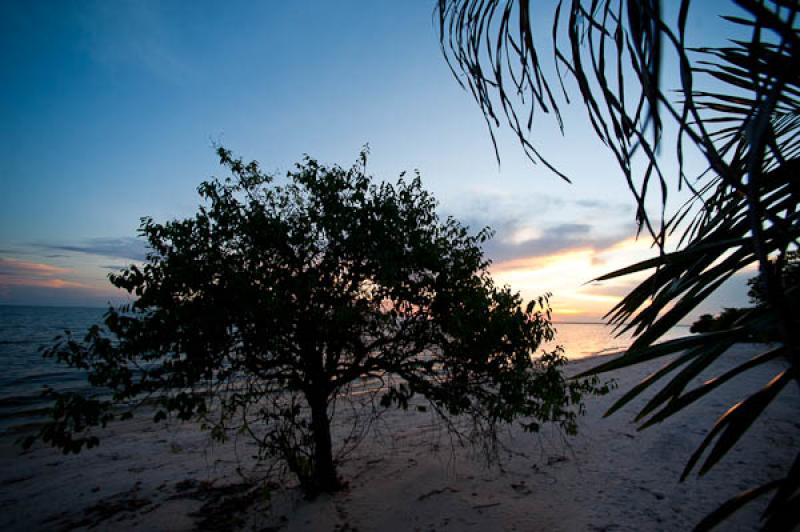 Playa de Belterra, Brasil, Brasilia, Sur America