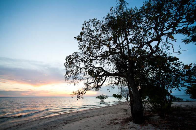 Playa de Belterra, Brasil, Brasilia, Sur America