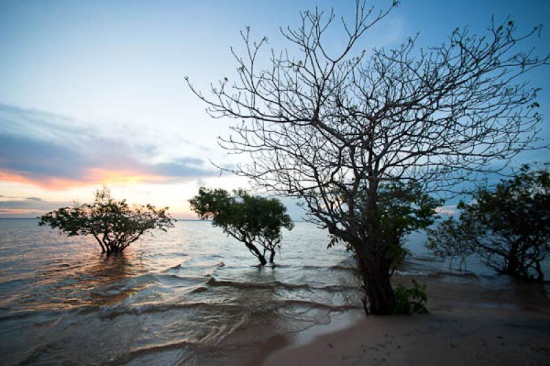 Playa de Belterra, Brasil, Brasilia, Sur America