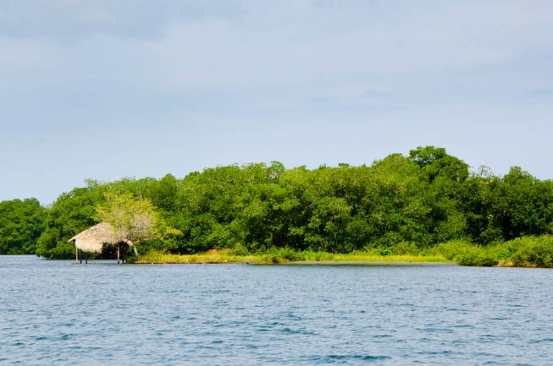 Manglar de Bahia de Cispata, San Antero, Cordoba, ...