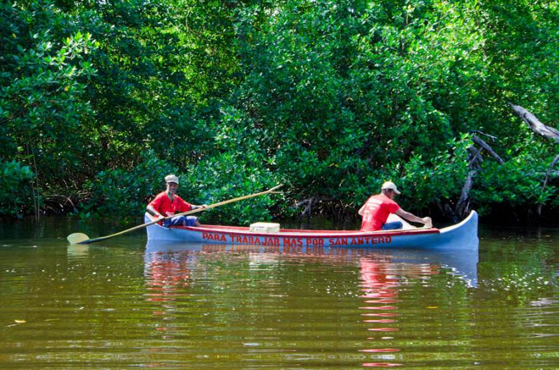 Pescadores en el Manglar de Bahia de Cispata, San ...