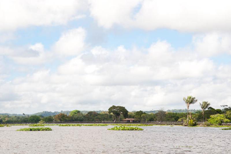 Lago de Maica, Santarem, Para, Brasil, Brasilia, S...