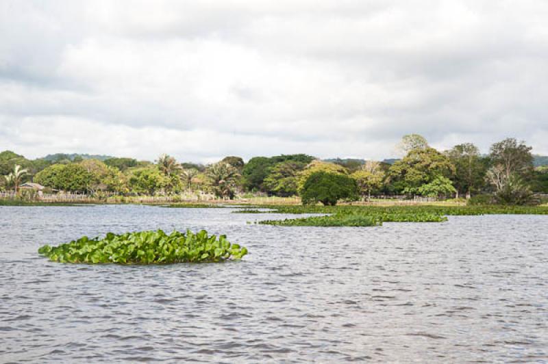 Lago de Maica, Santarem, Para, Brasil, Brasilia, S...