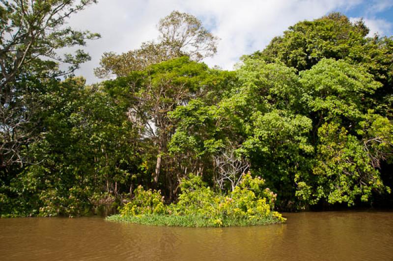 Lago de Maica, Santarem, Para, Brasil, Brasilia, S...