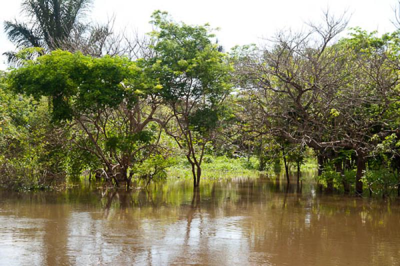 Lago de Maica, Santarem, Para, Brasil, Brasilia, S...