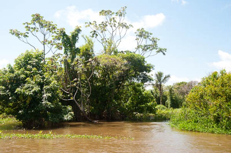 Lago de Maica, Santarem, Para, Brasil, Brasilia, S...