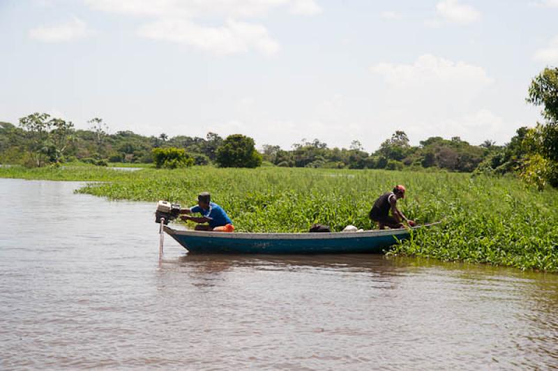 Lancha en el Lago de Maica, Santarem, Para, Brasil...