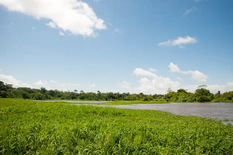 Lago de Maica, Santarem, Para, Brasil, Brasilia, S...