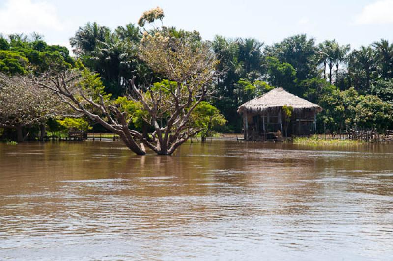 Vivienda Tradicional, Lago de Maica, Santarem, Par...