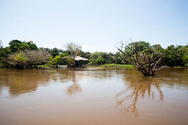 Vivienda Tradicional, Lago de Maica, Santarem, Par...