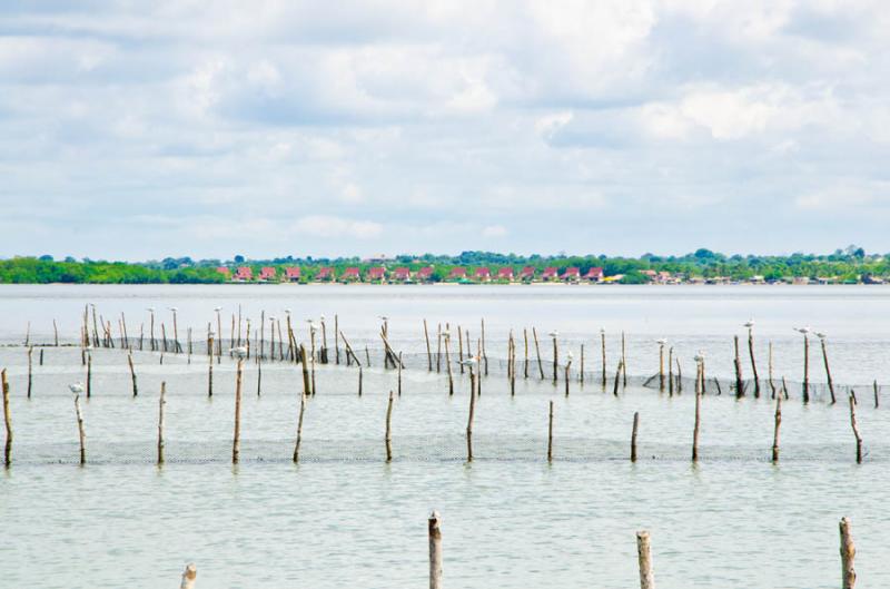 Bahia de Cispata, San Antero, Cordoba, Colombia