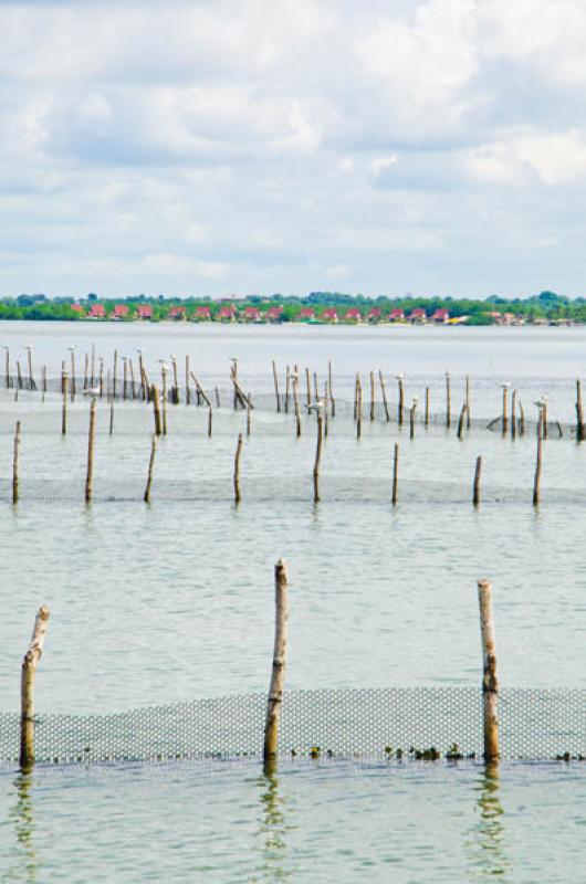 Bahia de Cispata, San Antero, Cordoba, Colombia