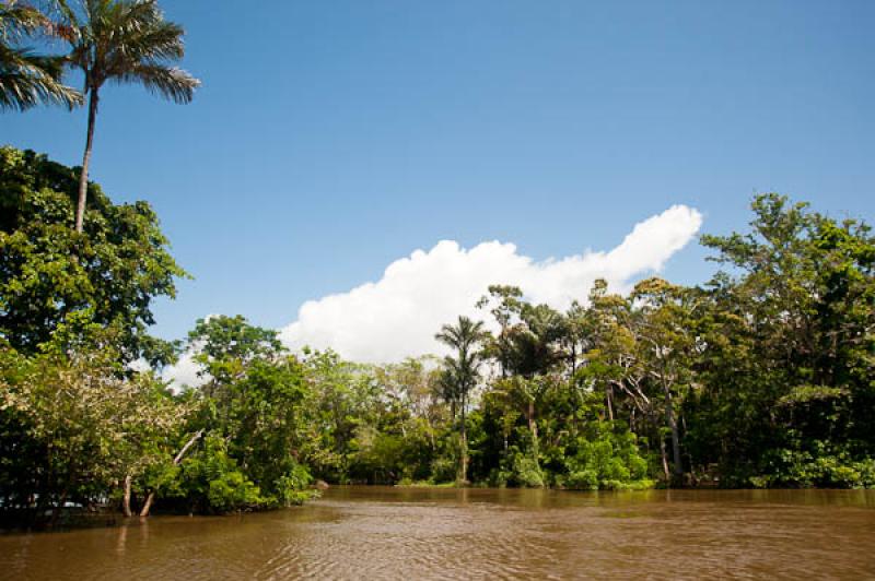 Lago de Maica, Santarem, Para, Brasil, Brasilia, S...