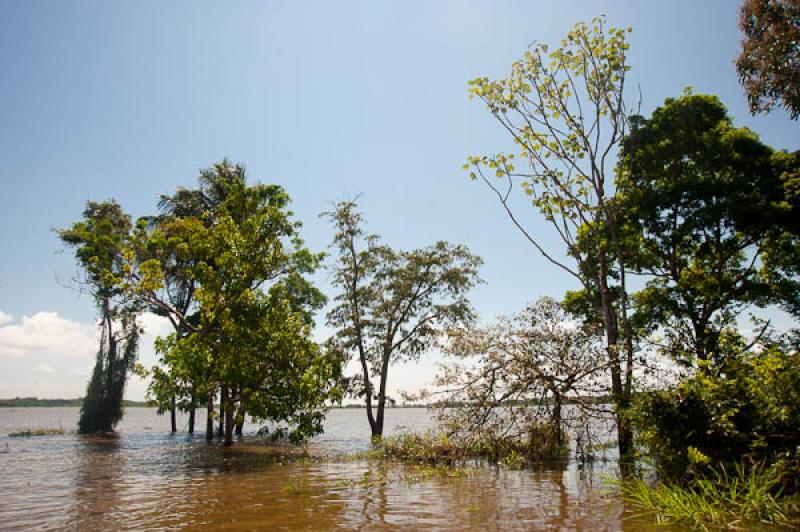 Lago de Maica, Santarem, Para, Brasil, Brasilia, S...