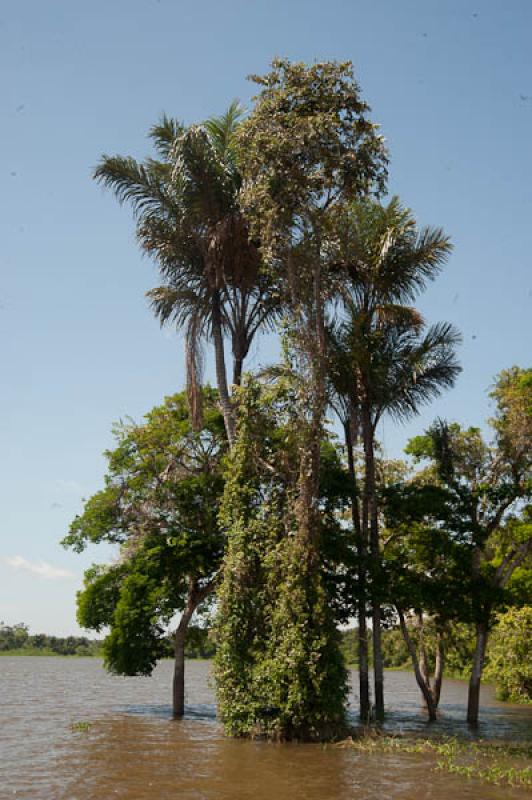 Lago de Maica, Santarem, Para, Brasil, Brasilia, S...