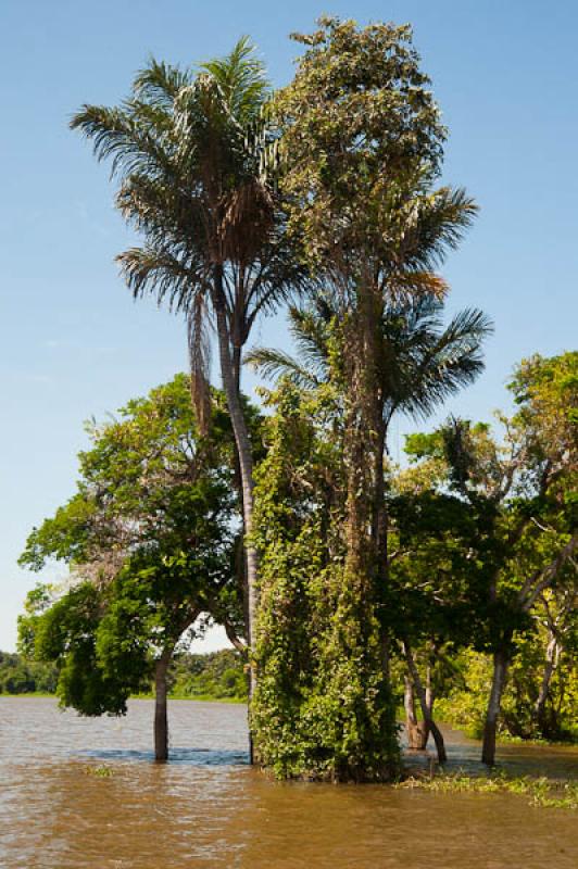 Lago de Maica, Santarem, Para, Brasil, Brasilia, S...